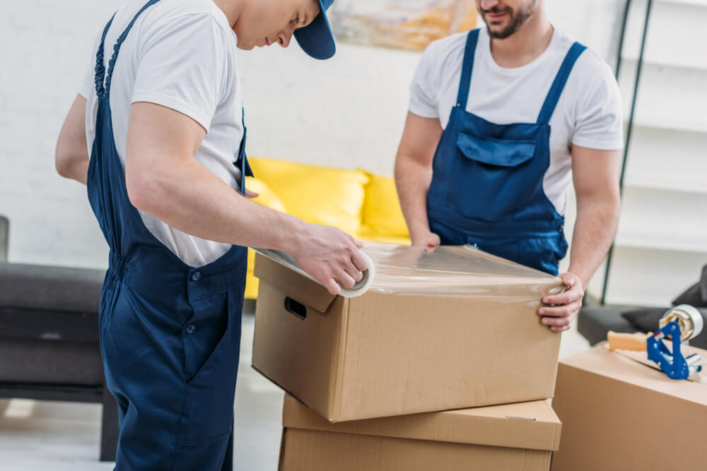 Top-rated Movers